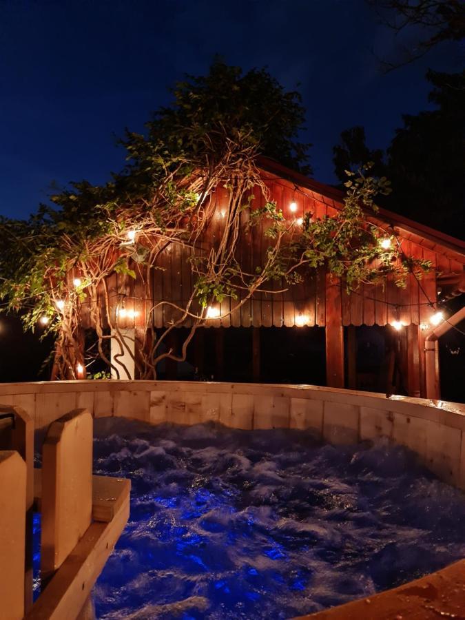 Vila Cu Ciubar & Jacuzzi - Sunset Hill House Cuvin Ngoại thất bức ảnh